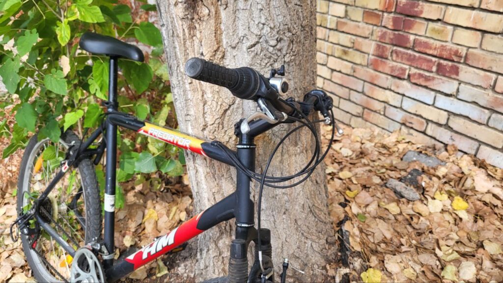 Аренда Велосипеда солнечный берег